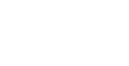 GVSOFT