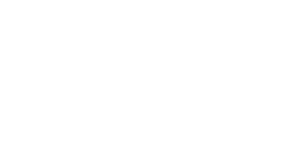 fluxion