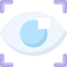 Computer Vision
